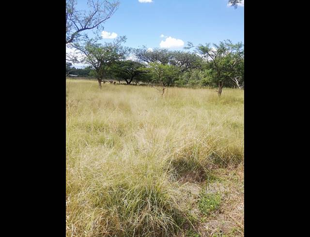 30,000M² VACANT LAND FOR SALE IN HILLDROP